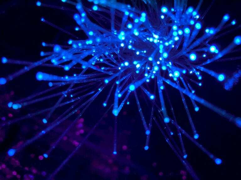 Secure Your Digital Life with the Right VPN